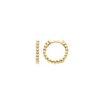 Blush Creolen 14k Gelbgold mit Kugeloptik 10.7mm - 7263YGO