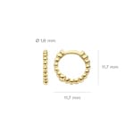 Blush Creolen 14k Gelbgold mit Kugeloptik 11.7mm - 7264YGO