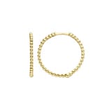 Blush 14ct Gold Beaded Hoop Earrings - 7291YGO