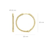 Blush 14ct Gold Beaded Hoop Earrings - 7291YGO