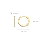 Blush Creolen 14k Gelbgold mit Pavé-Zirkonia 11.6mm - 7270YZI