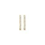 Blush Creolen 14k Gelbgold mit Zirkonia 15.4mm - 7236YZI