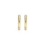 Blush 14ct Gold Oval Hoop Earrings - 7218YGO