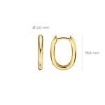 Blush 14ct Gold Oval Hoop Earrings - 7218YGO