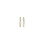 Blush Creolen 14k Gold mit Zirkonia 10.2mm - 7129BZI