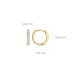 Blush Creolen 14k Gold mit Zirkonia 10.2mm - 7129BZI
