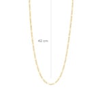 Blush 14ct Gold Figaro Chain Necklace - 3192YGO