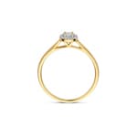 Blush Halo Ring 14k Gelbgold mit Labordiamanten 0.21ct - LG1023Y
