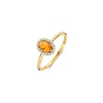 Blush Halo Ring 14k Gelbgold mit Madeira Citrin und Zirkonia