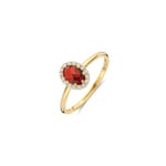 Blush Halo Ring 14k Gelbgold mit Mozambique Granat und Zirkonia - 1271YGA