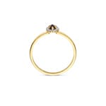 Blush Halo Ring 14k Gelbgold mit Rauchquarz und Zirkonia - 1258YSQ