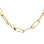 Blush 14ct Gold Elongated Paperclip Chain Necklace
