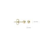 Blush Kugelohrstecker 14k Gelbgold 3mm - 7120YGO