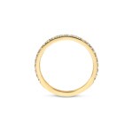 Blush 14ct Yellow Gold Half Eternity Ring with pavé setting - 1244YZI