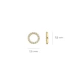 Blush Ohrring-Anhänger 14k Gelbgold Kreis mit Zirkonia - 9066YZI