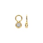 Blush Ohrring-Anhänger 14k Gelbgold mit Labordiamanten 0.50ct - LG9002Y