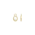 Blush 14ct Gold Mother of Pearl Rope Edge Earring Charms - 9078YMP