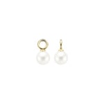 Blush Ohrring-Anhänger 14k Gelbgold mit Swarovski Perle - 9046YPW