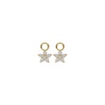 Blush Ohrring-Anhänger 14k Gelbgold Stern mit Labordiamanten 0.25ct - LG9005Y/S