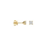 Blush Ohrstecker 14k Gelbgold mit Labordiamanten 0.30ct - LG7020Y