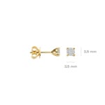 Blush Ohrstecker 14k Gelbgold mit Labordiamanten 0.30ct - LG7020Y