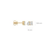 Blush Ohrstecker 14k Gelbgold mit Labordiamanten 0.50ct - LG7027Y