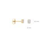 Blush Ohrstecker 14k Gelbgold mit ovalen Labordiamanten 0.30ct - LG7026Y