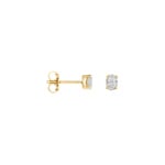 Blush Ohrstecker 14k Gelbgold mit ovalen Labordiamanten 0.30ct - LG7026Y