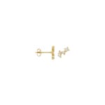 Blush 14ct Gold Zirconia Pave Cluster Stud Earrings - 7373YZI