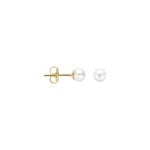 Blush Ohrstecker 14k Gelbgold mit Süsswasserperle 4mm - 7136YPW