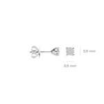 Blush Ohrstecker 14k Weissgold mit Labordiamanten 0.30ct - LG7020W