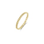Blush Panzerring 14k Gelbgold 2mm - 1229YGO