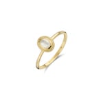 Blush 14k Gold Ring with Quartz and Mother-of-pearl Setting