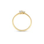 Blush Ring 14k Gelbgold mit Labordiamanten 0.25ct - LG1030Y