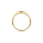 Blush 14ct Yellow Gold Onyx Signet Ring - 1219YON