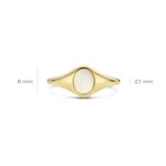 Blush 14ct Yellow Gold Pearl Stone Signet Ring - 1219YMP