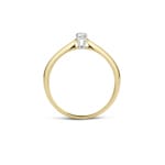 Blush Solitärring 14k Gelb- und Weissgold mit Zirkonia - 1186BZI