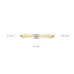 Blush Solitärring 14k Gelb- und Weissgold mit Zirkonia - 1186BZI