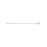 Blush 14ct White Gold Necklace 8cm Extension Chain