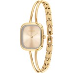 Calvin Klein Adore Goldig - 25100132