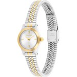 Calvin Klein Contemporary Two-Tone  - 25100207