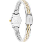 Calvin Klein Contemporary Two-Tone  - 25100207
