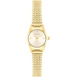 Calvin Klein Contemporary Gold - 25100201