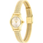 Calvin Klein Contemporary Gold - 25100201