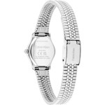 Calvin Klein Contemporary Silvery / Black - 25100200