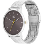 Calvin Klein Real Argenté / Brun - 25200547