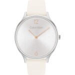 Calvin Klein Timeless Leather 38 Argenté - 25200010