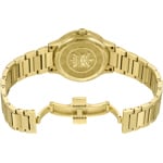 Certina DS-6 Lady COSC - C039.251.33.367.00