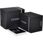 Citizen Elegant Quartz Chrono 41 - AN3610-55L