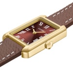 Cluse Belisenna Goldig / Mokka - CW15006